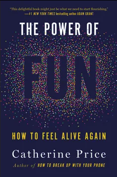 Power of Fun book