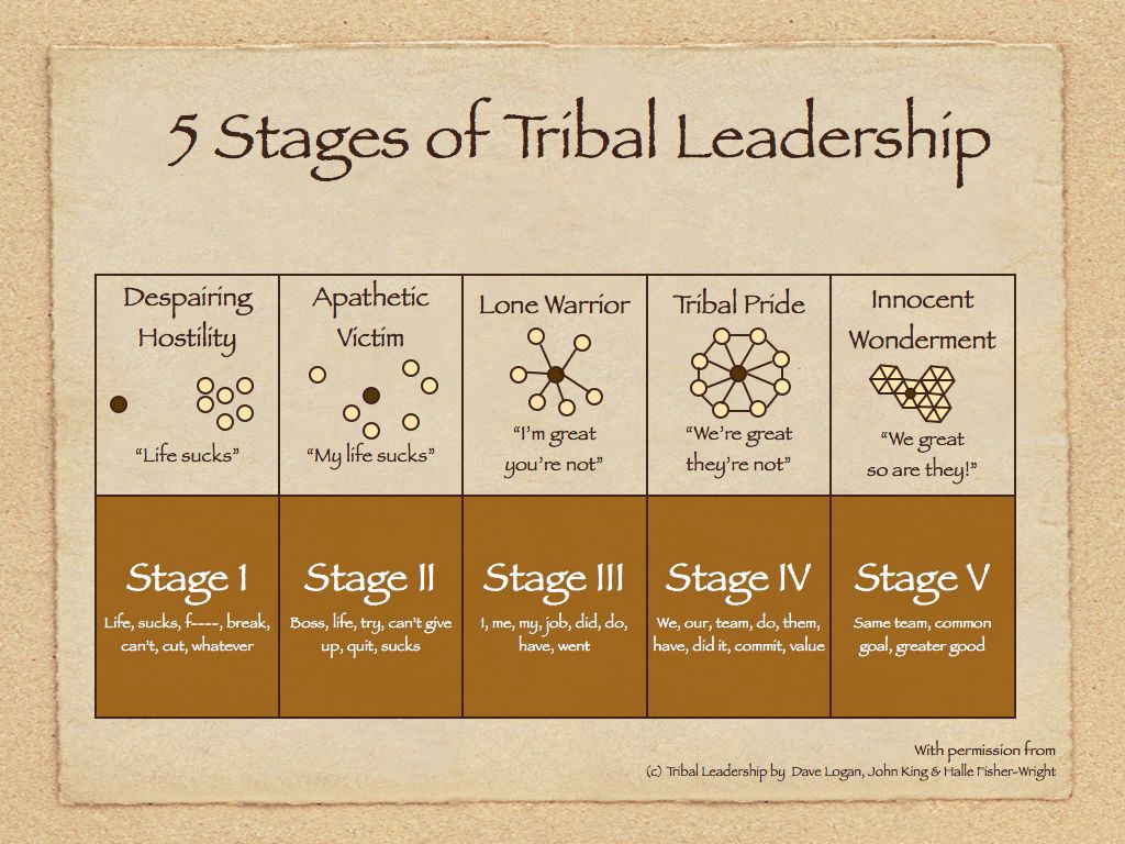 Tribal Leadership