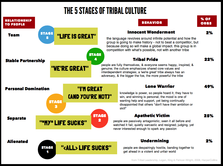 Tribal Leadership